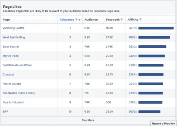 Những điều cần biết khi sử dụng Audience Insights Facebook