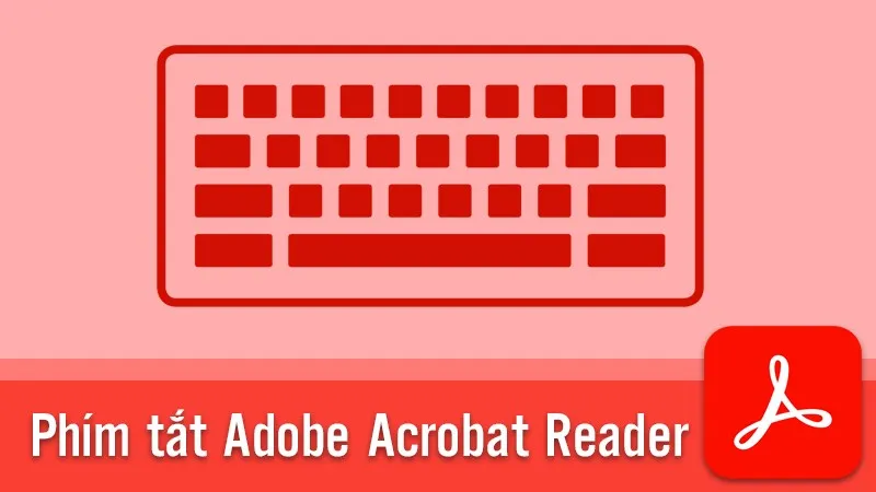 Tổng hợp phím tắt trong Adobe Acrobat Reader nhanh, tiện lợi